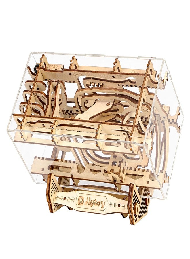 Jigtoy Wooden Marble Maze Fidget Toy Gravity Maze Marble Run Brain Game with Wood 3D Puzzles for Adults and Teens - Image 1